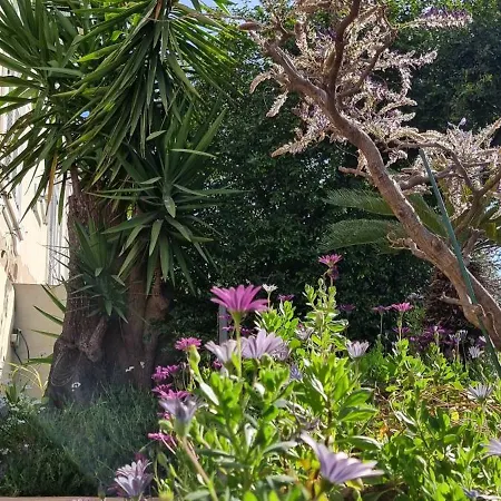 Διαμέρισμα Magenta Κάννες